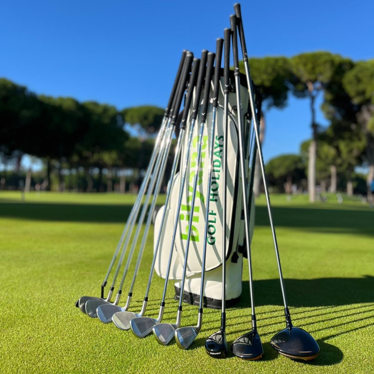 https://aaa.bilyanagolf.com/files/imaj/clubhire1.jpg
